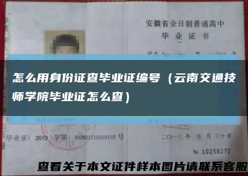 怎么用身份证查毕业证编号（云南交通技师学院毕业证怎么查）缩略图