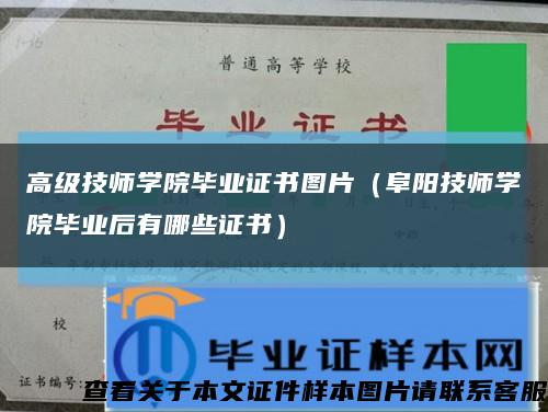 高级技师学院毕业证书图片（阜阳技师学院毕业后有哪些证书）缩略图