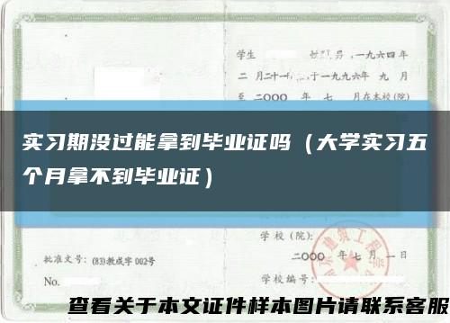 实习期没过能拿到毕业证吗（大学实习五个月拿不到毕业证）缩略图