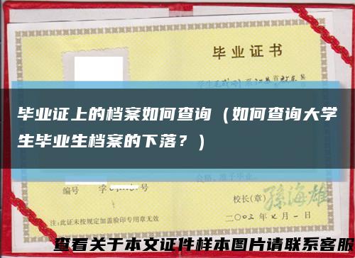 毕业证上的档案如何查询（如何查询大学生毕业生档案的下落？）缩略图