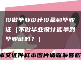 没做毕业设计没拿到毕业证（不做毕业设计能拿到毕业证吗？）缩略图