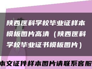 陕西医科学校毕业证样本模板图片高清（陕西医科学校毕业证书模板图片）缩略图