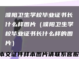 濮阳卫生学校毕业证书长什么样图片（濮阳卫生学校毕业证书长什么样的图片）缩略图