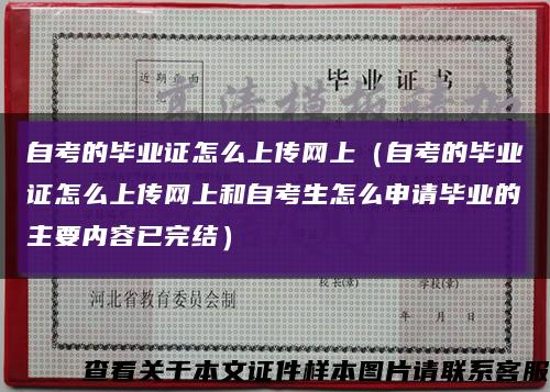 自考的毕业证怎么上传网上（自考的毕业证怎么上传网上和自考生怎么申请毕业的主要内容已完结）缩略图