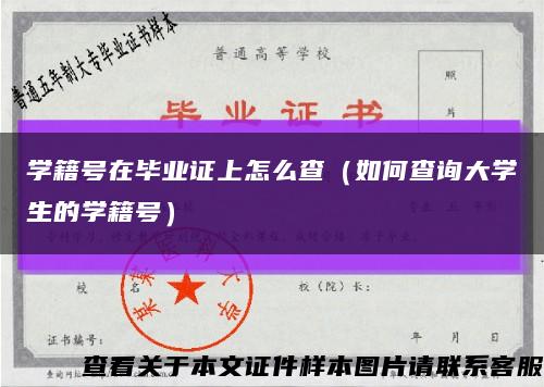 学籍号在毕业证上怎么查（如何查询大学生的学籍号）缩略图