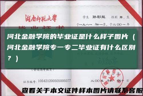 河北金融学院的毕业证是什么样子图片（河北金融学院专一专二毕业证有什么区别？）缩略图