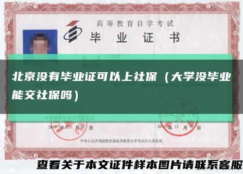 北京没有毕业证可以上社保（大学没毕业能交社保吗）缩略图