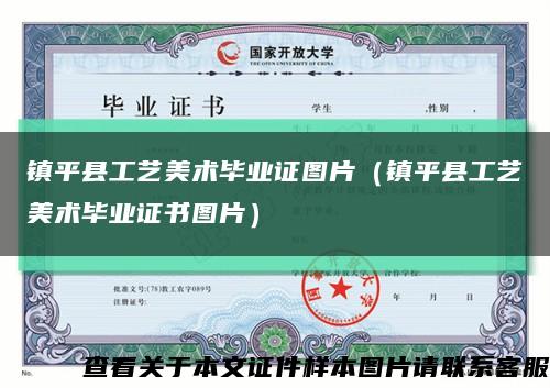 镇平县工艺美术毕业证图片（镇平县工艺美术毕业证书图片）缩略图
