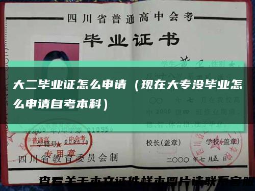 大二毕业证怎么申请（现在大专没毕业怎么申请自考本科）缩略图