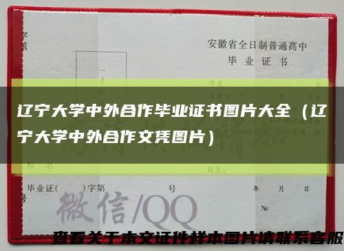 辽宁大学中外合作毕业证书图片大全（辽宁大学中外合作文凭图片）缩略图
