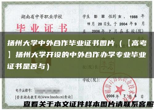 扬州大学中外合作毕业证书图片（【高考】扬州大学开设的中外合作办学专业毕业证书是否与）缩略图