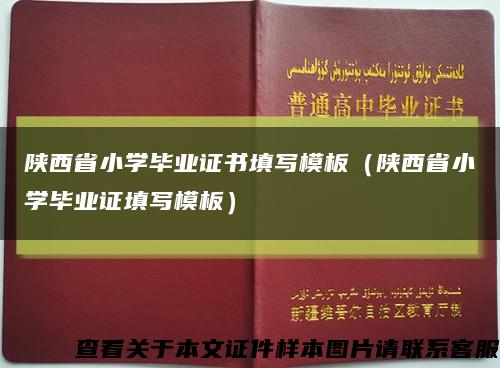 陕西省小学毕业证书填写模板（陕西省小学毕业证填写模板）缩略图