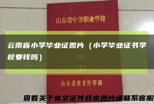 云南省小学毕业证图片（小学毕业证书学校要钱吗）缩略图