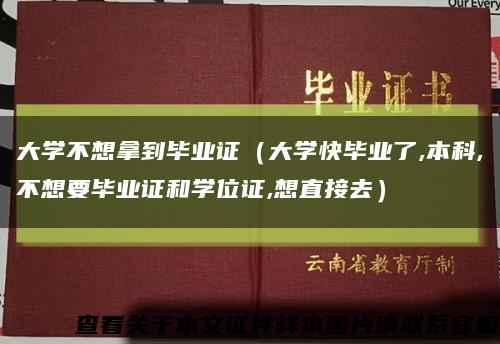 大学不想拿到毕业证（大学快毕业了,本科,不想要毕业证和学位证,想直接去）缩略图