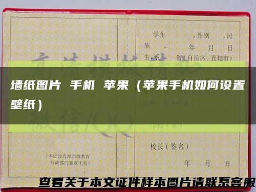 墙纸图片 手机 苹果（苹果手机如何设置壁纸）缩略图