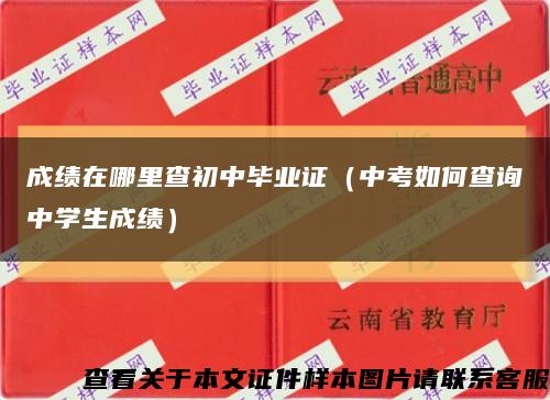 成绩在哪里查初中毕业证（中考如何查询中学生成绩）缩略图