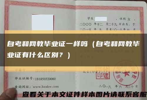 自考和网教毕业证一样吗（自考和网教毕业证有什么区别？）缩略图