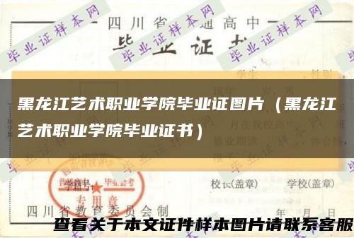 黑龙江艺术职业学院毕业证图片（黑龙江艺术职业学院毕业证书）缩略图