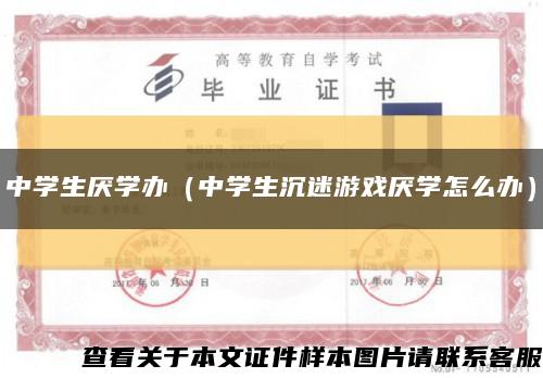 中学生厌学办（中学生沉迷游戏厌学怎么办）缩略图