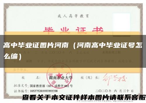高中毕业证图片河南（河南高中毕业证号怎么编）缩略图