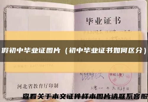 假初中毕业证图片（初中毕业证书如何区分）缩略图