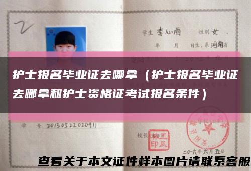 护士报名毕业证去哪拿（护士报名毕业证去哪拿和护士资格证考试报名条件）缩略图
