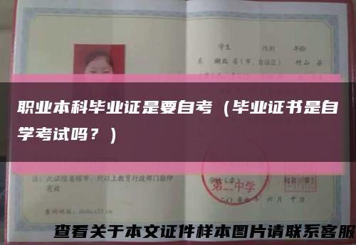 职业本科毕业证是要自考（毕业证书是自学考试吗？）缩略图