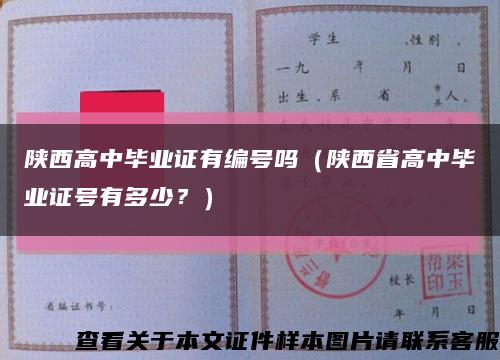 陕西高中毕业证有编号吗（陕西省高中毕业证号有多少？）缩略图