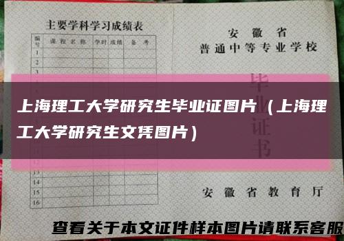上海理工大学研究生毕业证图片（上海理工大学研究生文凭图片）缩略图