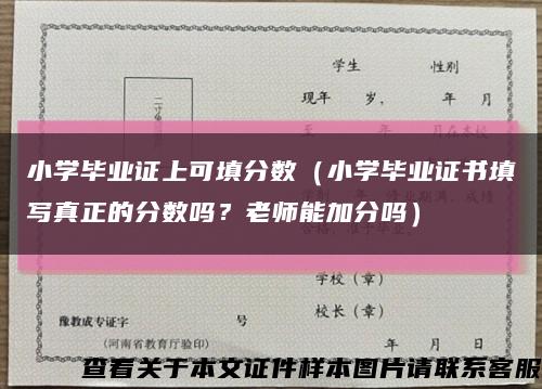 小学毕业证上可填分数（小学毕业证书填写真正的分数吗？老师能加分吗）缩略图