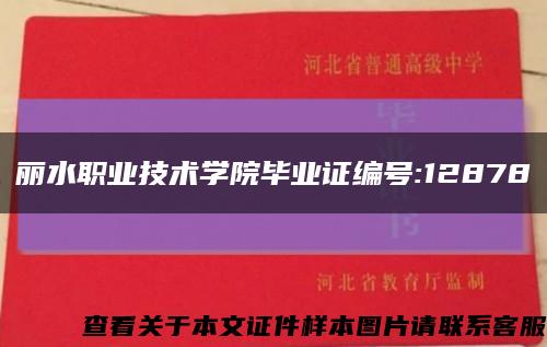 丽水职业技术学院毕业证编号:12878缩略图