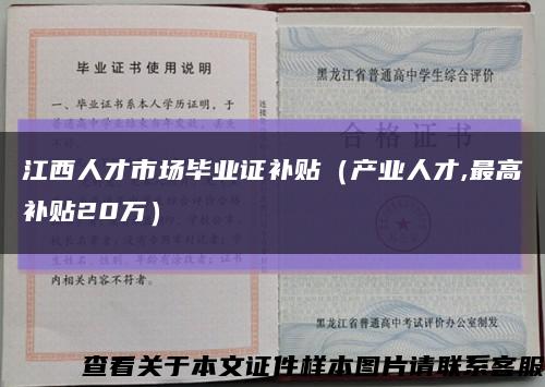 江西人才市场毕业证补贴（产业人才,最高补贴20万）缩略图