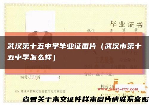 武汉第十五中学毕业证图片（武汉市第十五中学怎么样）缩略图