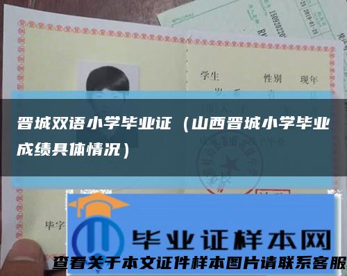 晋城双语小学毕业证（山西晋城小学毕业成绩具体情况）缩略图