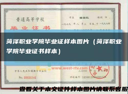 菏泽职业学院毕业证样本图片（菏泽职业学院毕业证书样本）缩略图