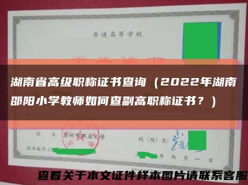 湖南省高级职称证书查询（2022年湖南邵阳小学教师如何查副高职称证书？）缩略图