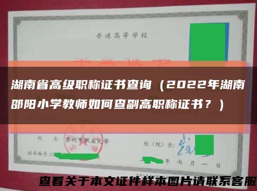 湖南省高级职称证书查询（2022年湖南邵阳小学教师如何查副高职称证书？）缩略图