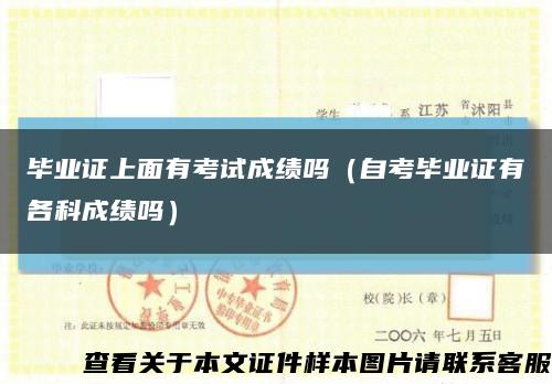毕业证上面有考试成绩吗（自考毕业证有各科成绩吗）缩略图