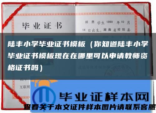 陆丰小学毕业证书模板（你知道陆丰小学毕业证书模板现在在哪里可以申请教师资格证书吗）缩略图