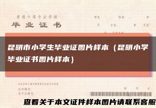 昆明市小学生毕业证图片样本（昆明小学毕业证书图片样本）缩略图