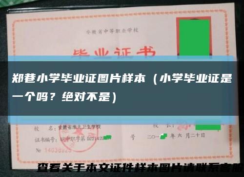 郑巷小学毕业证图片样本（小学毕业证是一个吗？绝对不是）缩略图
