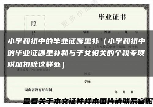 小学和初中的毕业证哪里补（小学和初中的毕业证哪里补和与子女相关的个税专项附加扣除这样处）缩略图