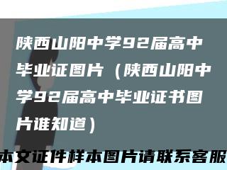 陕西山阳中学92届高中毕业证图片（陕西山阳中学92届高中毕业证书图片谁知道）缩略图