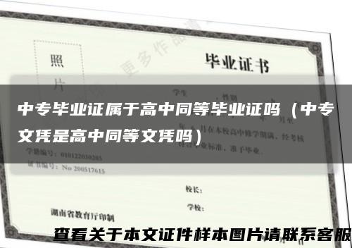 中专毕业证属于高中同等毕业证吗（中专文凭是高中同等文凭吗）缩略图