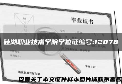 硅湖职业技术学院学位证编号:12078缩略图