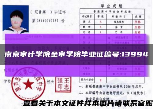 南京审计学院金审学院毕业证编号:13994缩略图