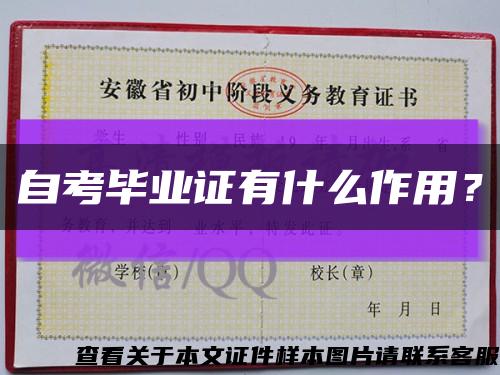 自考毕业证有什么作用？缩略图