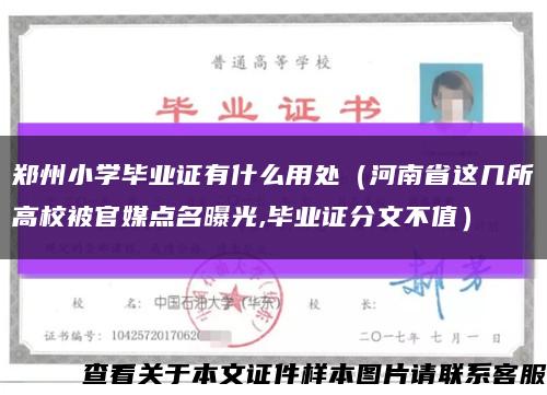 郑州小学毕业证有什么用处（河南省这几所高校被官媒点名曝光,毕业证分文不值）缩略图