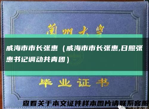 威海市市长张惠（威海市市长张惠,日照张惠书记调动共青团）缩略图