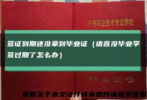 签证到期还没拿到毕业证（语言没毕业学签过期了怎么办）缩略图
